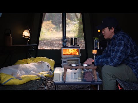 Видео: Первая холодная ночь в горах — уютный кемпинг с дровяной печью и моей собакой 🔥🐶