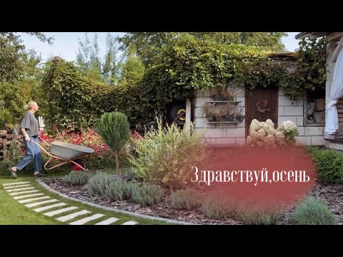 Видео: 🍁ОСЕННИЕ ХЛОПОТЫ ВО ДВОРЕ🍂УБИРАЮ ВСЕ ЦВЕТЫ🤎ГОТОВЛЮ НА КУХНЕ 🥮ВСТРЕЧАЕМ ОСЕНЬ КРАСИВО🫶🏻