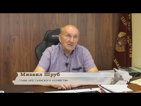 Видео: Михаил Шруб в программе "Гомель" "Земля наша"