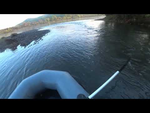 Видео: Рыбалка на сети осенью!