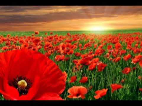 Видео: Альбом "Senyn' Patshan'" на казахском языке
