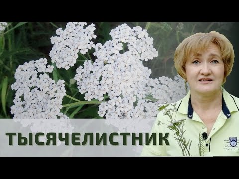 Видео: Кровь и раны