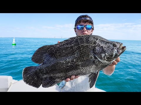 Видео: Самое сложное место в заливе Тампа: рыбалка в судоходном канале!