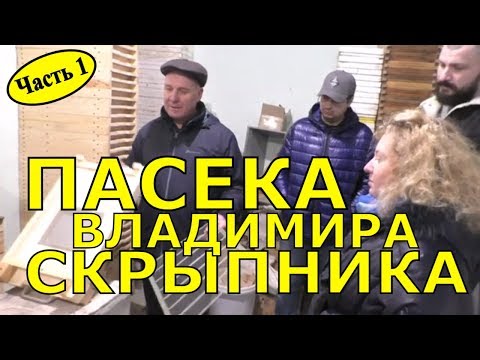 Видео: На пасеке Владимира Скрыпника. Экскурсия / FABRO