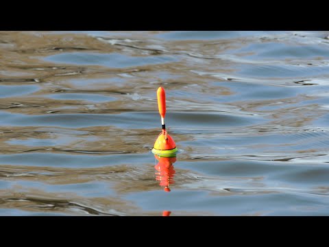 Видео: ЛЮТЫЙ ЖОР КРАСНОПЁРКИ НА ПОПЛАВОЧНУЮ УДОЧКУ. НЕ ВЫБРАСЫВАЙТЕ МУСОР!