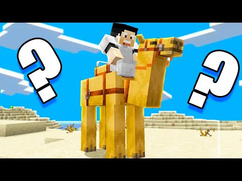 Видео: Търсим ИЗГУБЕНАТА Камила