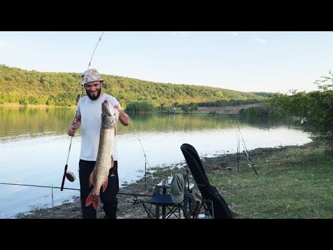 Видео: Рыбалка с ночевкой:Улов большой щуки (1-часть) Fishing with an overnight stay: Catching a big pike 