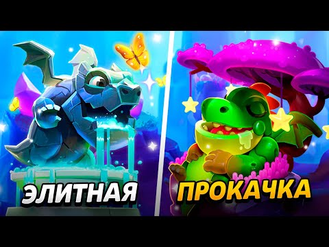 Видео: 9000 КУБКОВ, 14 УРОВЕНЬ И ЭЛИТНАЯ ПРОКАЧКА!😱 ПУТЬ ДРАКОНЧИКА