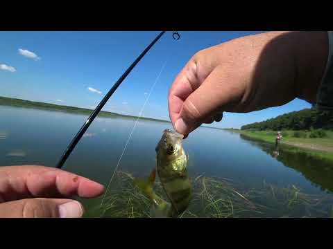 Видео: Спиннинг на Томи в конце июля 2022 года