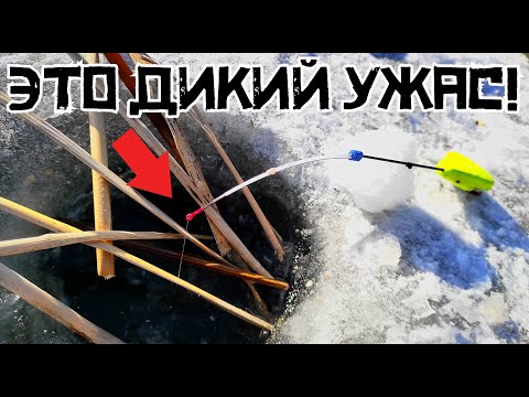 Видео: НЕ ДЛЯ СЛАБОНЕРВНЫХ! Попали на КРУПНЯК в КАМЫШЕ и карась ОДУРЕЛ! Рыбалка 2025