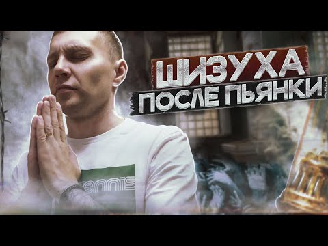 Видео: ШИЗУХА ПОСЛЕ ПЬЯНКИ | Как попадают в дурку | Панические атаки | Отходняк и паранойя | Одежда в крови