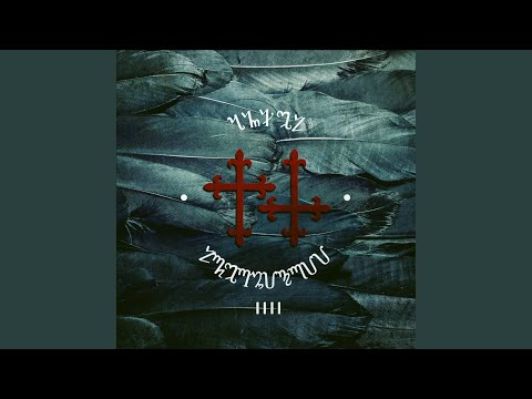 Видео: Адаптация