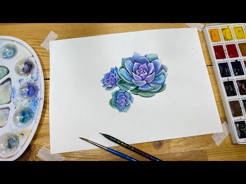 Видео: Легкий и красивый рисунок акварелью для начинающих - суккулент