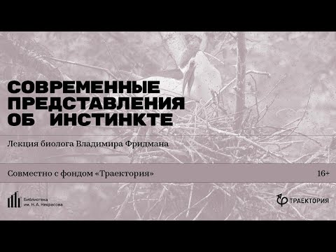 Видео: «Современные представления об инстинкте». Лекция биолога Владимира Фридмана
