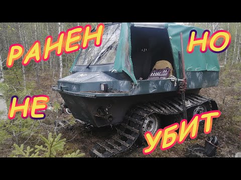 Видео: Всё из за металлокопа