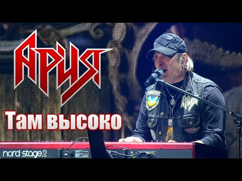 Видео: Артур Беркут - Там высоко ► Ария 2020