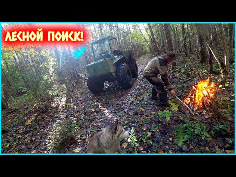 Видео: НЕОЖИДАННАЯ НАХОДКА В ЛЕСУ!!! ЧАСТЬ ДЕКАВИЛЕВСКОЙ ЖЕЛЕЗНОЙ ДОРОГИ И ПРИЯТНЫЕ ПЛЮШКИ ОТ ТТ-4!