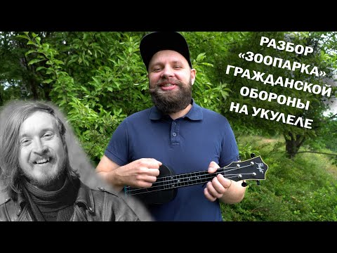 Видео: Гражданская оборона - зоопарк. Разбор на укулеле