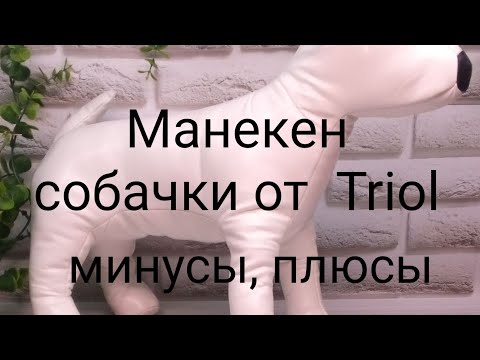 Видео: Манекен собаки от Тriol. Минусы и плюсы.