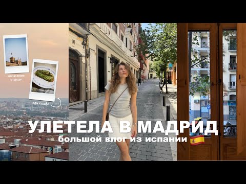 Видео: улетела в мадрид | большой влог из испании 🇪🇸