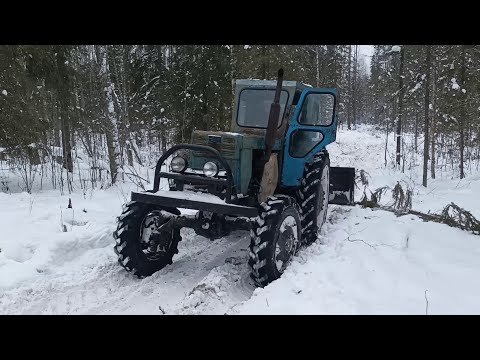 Видео: Зима.Дрова.Т 40 АМ.