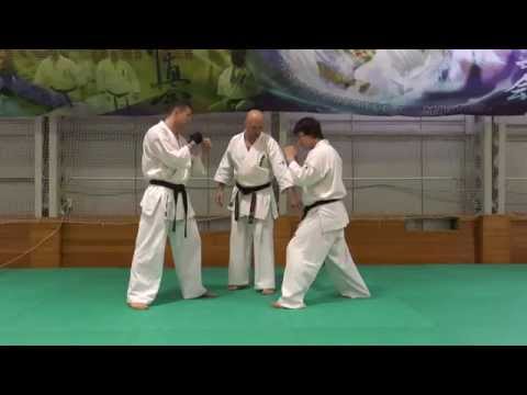 Видео: Увеличиваем скорость удара уширо маваши (вертушка). Урок каратэ от сэнсея Евгения Ильмова