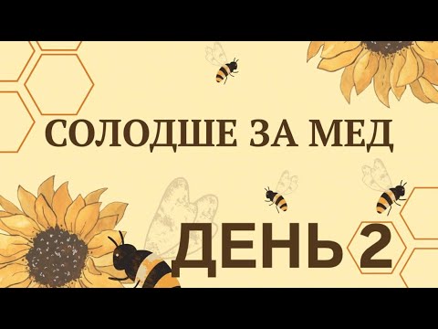 Видео: Табір 2025 «Солодше за мед» - 2 день