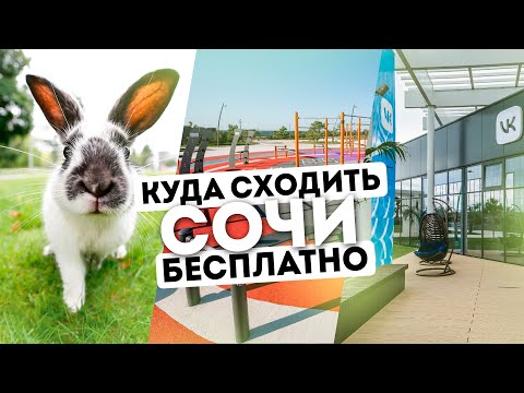 Видео: 🚐 ЭКСКУРСОВОДЫ НЕ ВОДЯТ СЮДА ТУРИСТОВ. Сочи куда пойти.