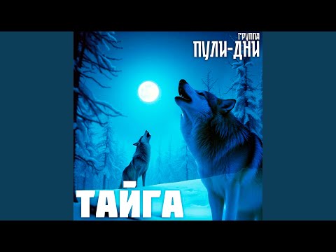 Видео: Кутили