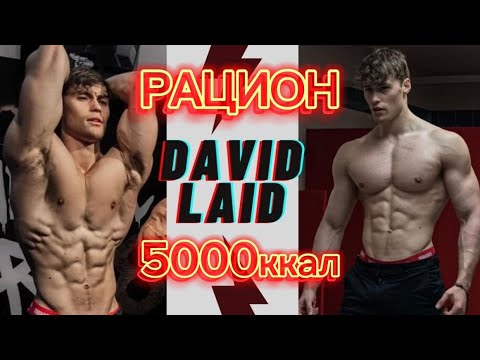 Видео: РАЦИОН DAVID LAID | 5000ккал | ЭТО РЕАЛЬНО???