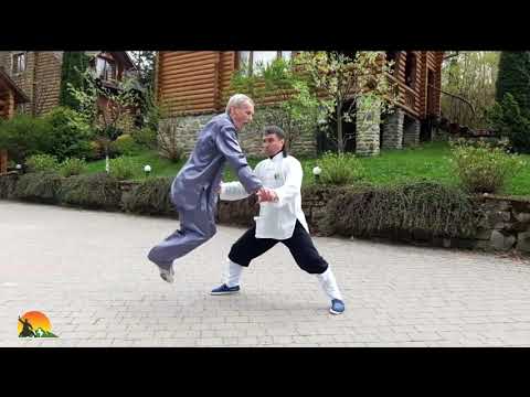 Видео: Внутренние Энергии 8 сил Тайцзи цюань Школы Драконовых Врат  Примеры Фа Цзинь в Лун Мэнь ТайцзиЦюань