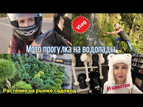 Видео: Мото прогулка на водопады.  Какие растения есть на рынке садовод в Москве?