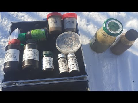 Видео: Пахучие приманки для хищника (часть первая).