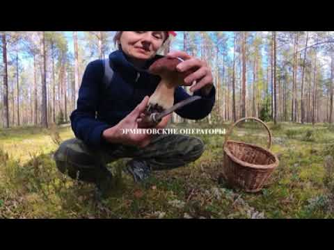 Видео: Кванты без формул:  ИЗМЕРЯЕМЫЕ ВЕЛИЧИНЫ В КВАНТОВОЙ МЕХАНИКЕ И ЗРМИИТОВЫ ОПЕРАТОРЫ