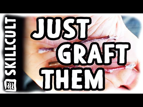 Видео: У вас есть тощие, прорастающие черенки? Всё равно прививайте их!