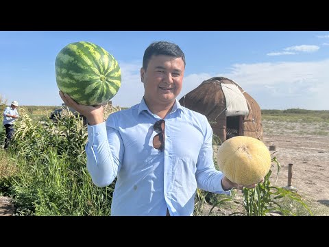 Видео: Ауылдағы өмір