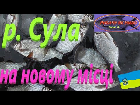 Видео: #СУЛА # Нове місце #РибачуЯкУмію