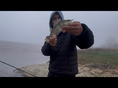 Видео: Набарахме пасажа, имаше и едри на яз.Антимово