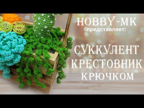 Видео: Суккулент Крестовник крючком (авторский МК Светланы Кононенко)