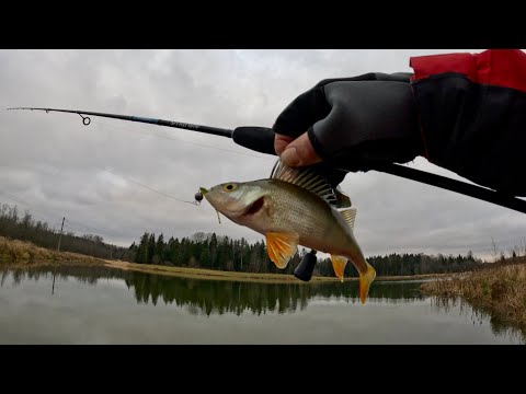 Видео: Микроджиг: ловим полосатых и зубастых!