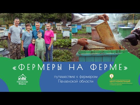 Видео: Мёд — дело семейное // Городская ферма