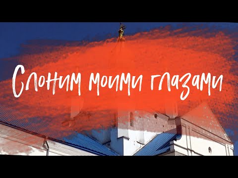 Видео: Слоним моими глазами