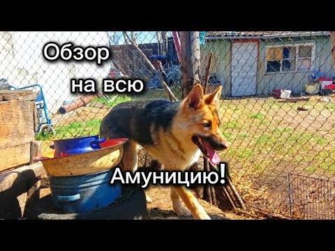 Видео: ОБЗОР НА ВСЮ АМУНИЦИЮ СОБАКИ