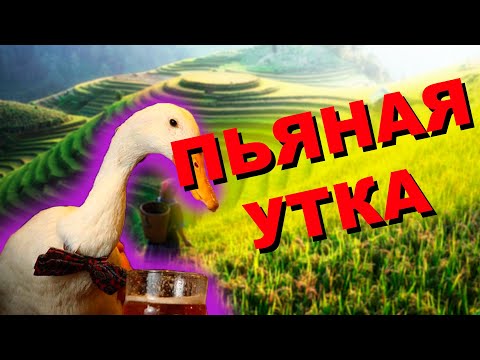 Видео: МУКА ИЗ КОНЬЯКА и ПЬЯНАЯ УТКА. ЧТО?