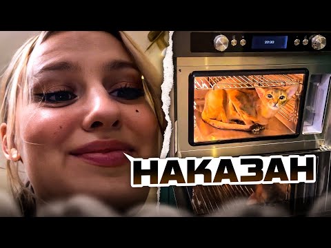 Видео: петрович мешает кае на протяжении 18 минут 57 секунд..