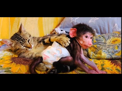 Видео: Люська ДОСТАЛА Марселя и он её НАКАЗАЛ!