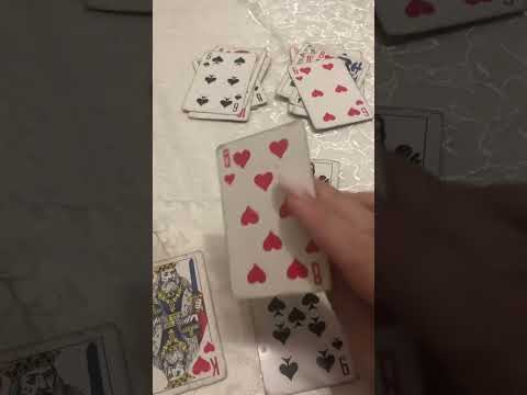 Видео: Кот на сердце у короля