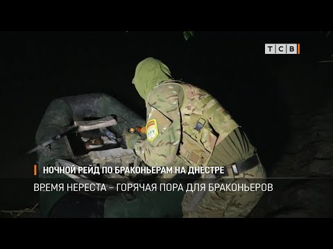 Видео: Ночной рейд по браконьерам на Днестре