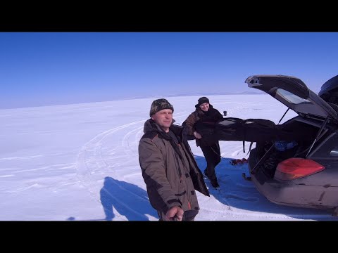 Видео: Сало сделало рыбалку | Красноярское водохранилище | В марте со льда