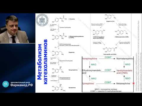 Видео: Физиология  рецепторов катехоламинов Лебединский КМ